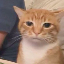 yasin.naghibi9's avatar